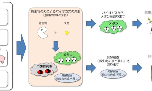 活力霜价格一览表-旧版活力霜功效网 :分享活力霜真的很神奇吗-活力霜是干嘛的知识